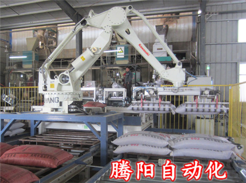 自動(dòng)化碼垛機(jī)器人未來態(tài)勢可期