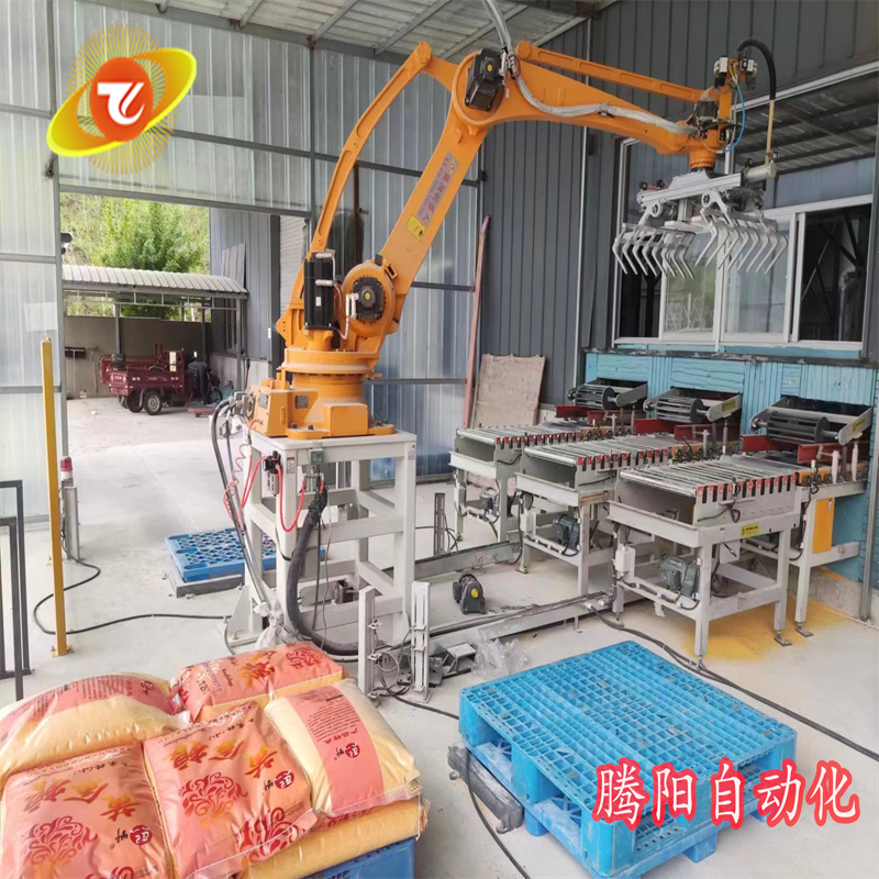 騰陽一機雙抓，雙工位碼垛機